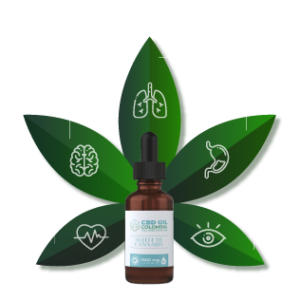 CBD OIL